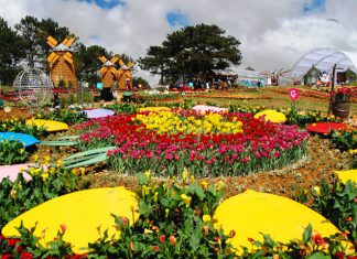 Festival hoa Đà Lạt