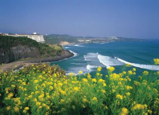 Những địa điểm du lịch Hàn Quốc được nhiều người tới nhất